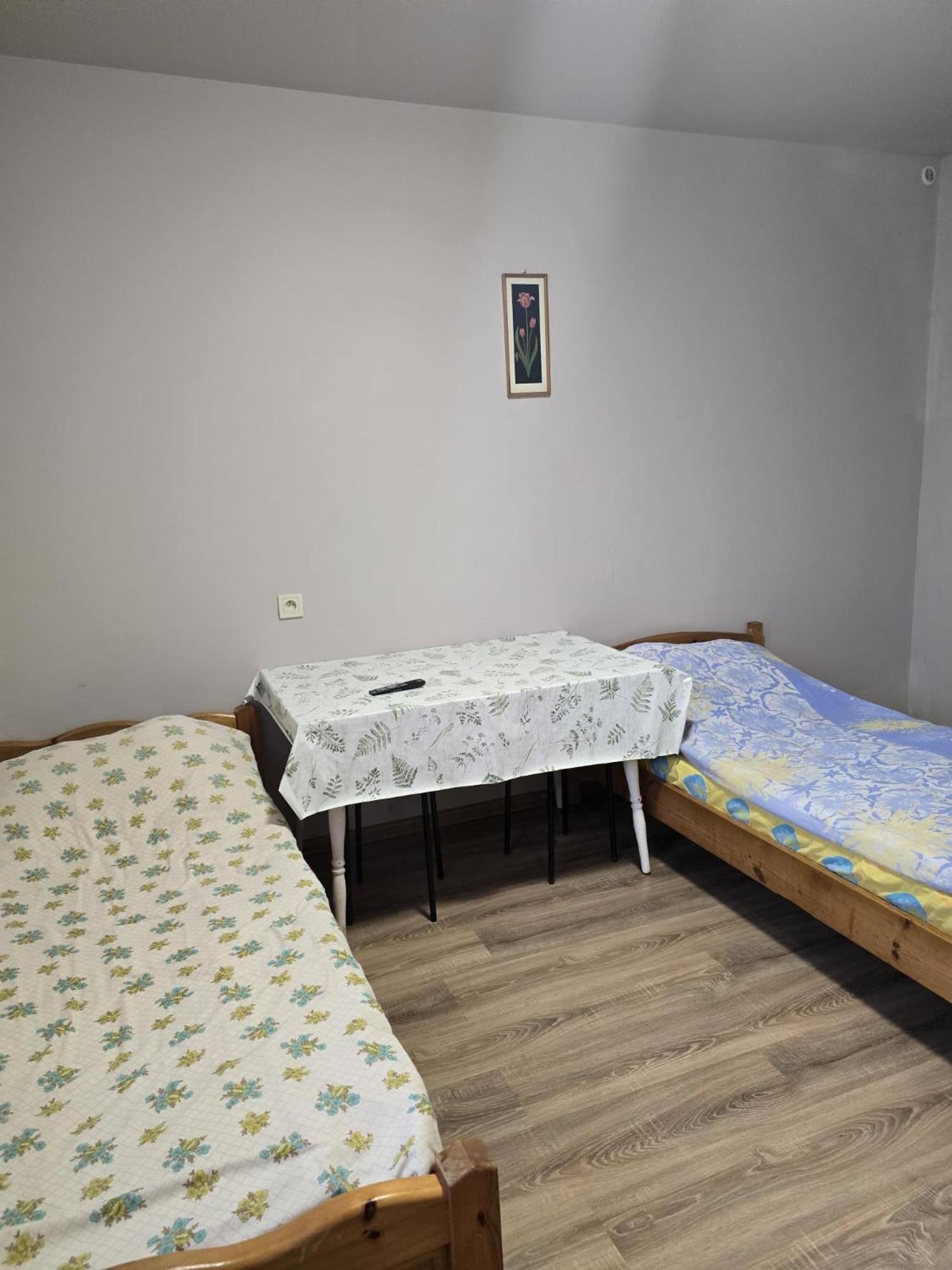 Pensjonat Feliksow Wiskitki Экстерьер фото